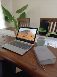 A laptop screen showing a gardening video tutorial with desert plants in the background.