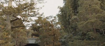 A serene landscape blending natural light with structural elements symbolizing stability and growth.