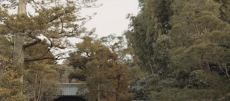 A serene landscape showcasing harmony between nature and holistic living.