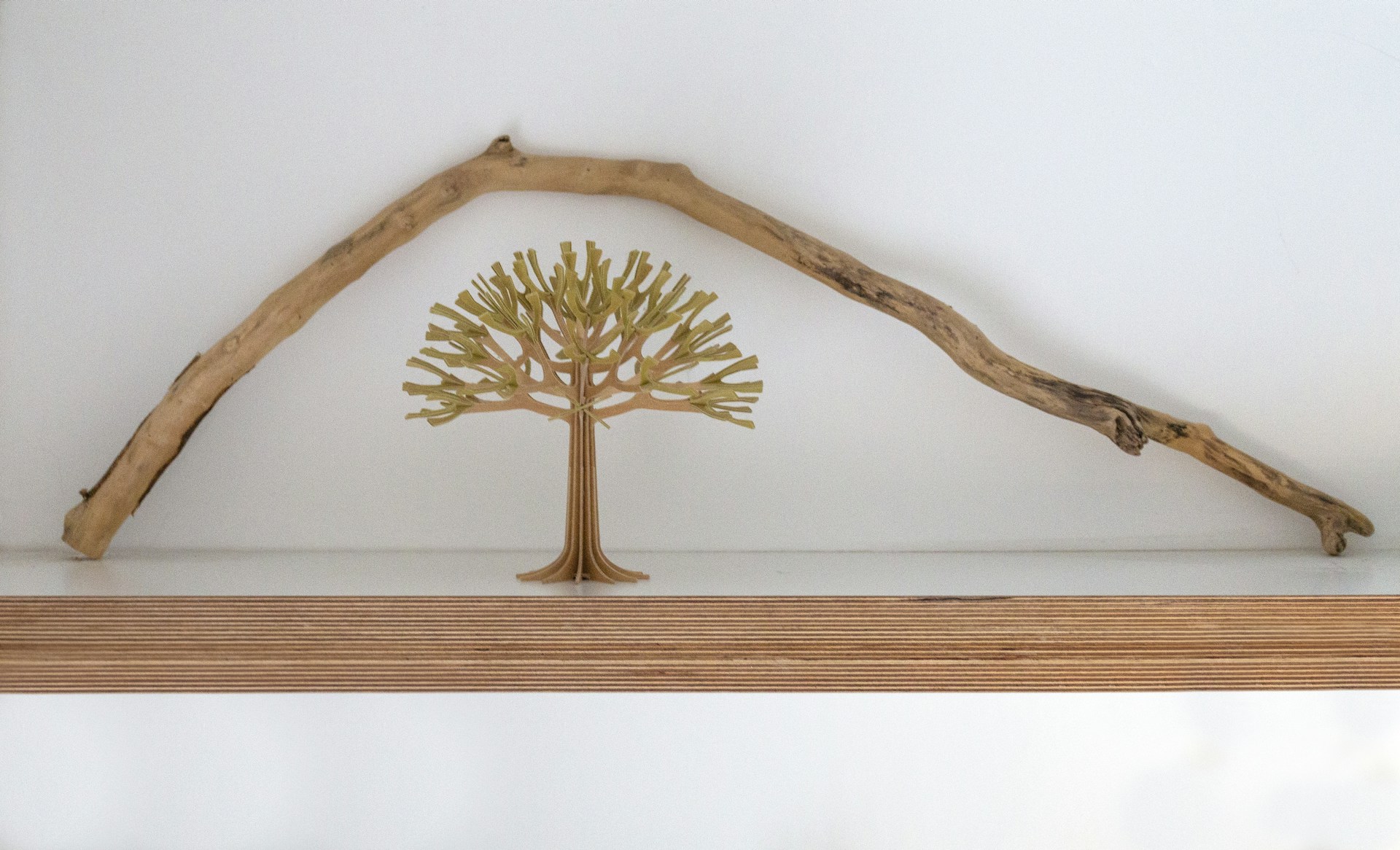 A finished piece from solocraft's portfolio displayed elegantly on a minimalist shelf, highlighting its unique character and craftsmanship.