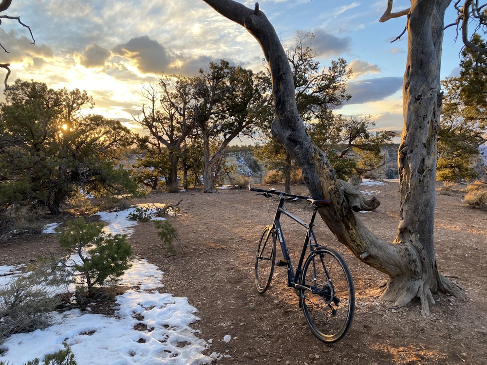 black bicycle on brown tree trunk near river during daytime