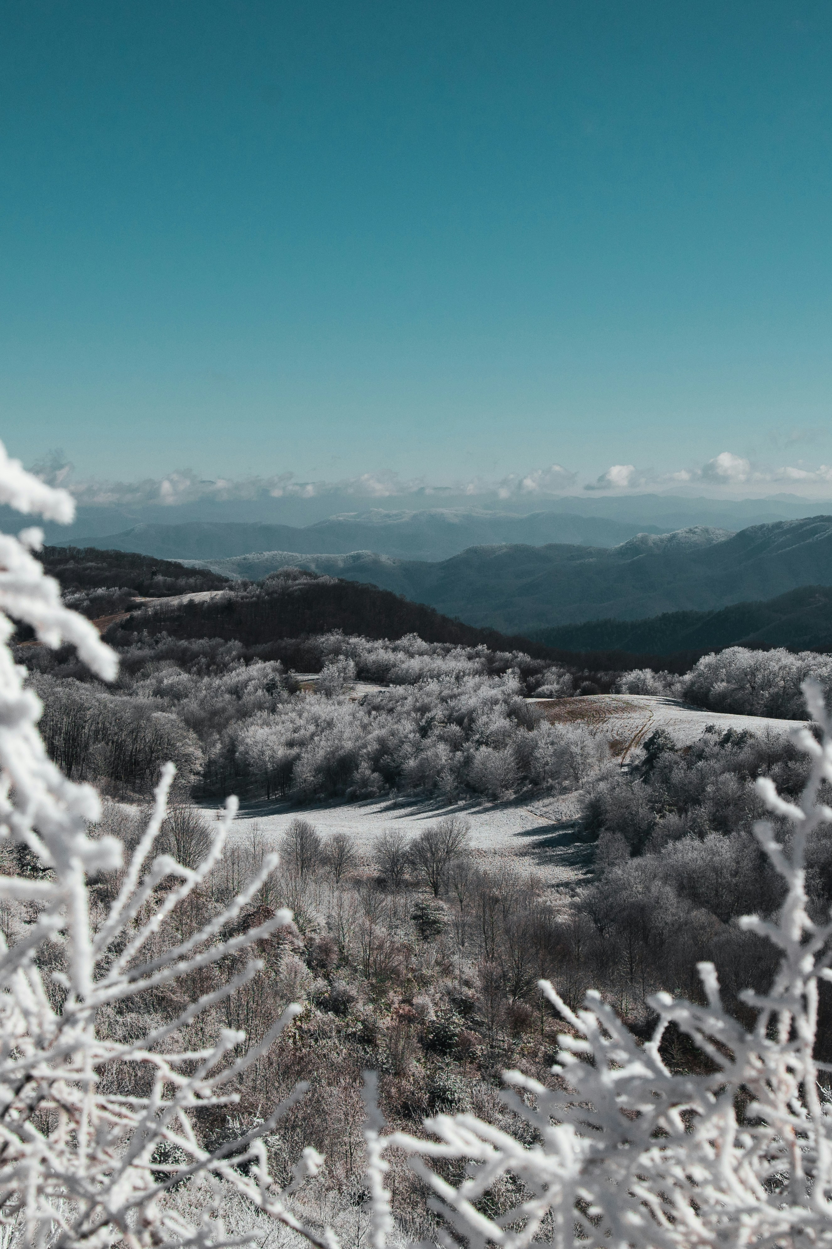 Nature produces the most astoundingly beautiful images: the swirling lava of a volcano, palm trees against a blue sky, snow-capped mountains towering above. Unsplash has magnificent , high-quality photos of all the delights that nature has to offer.
