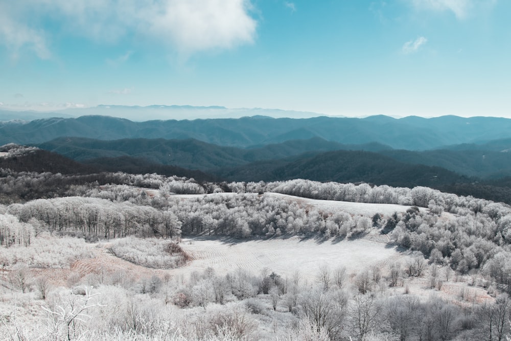 brown and green mountains under blue sky during daytime