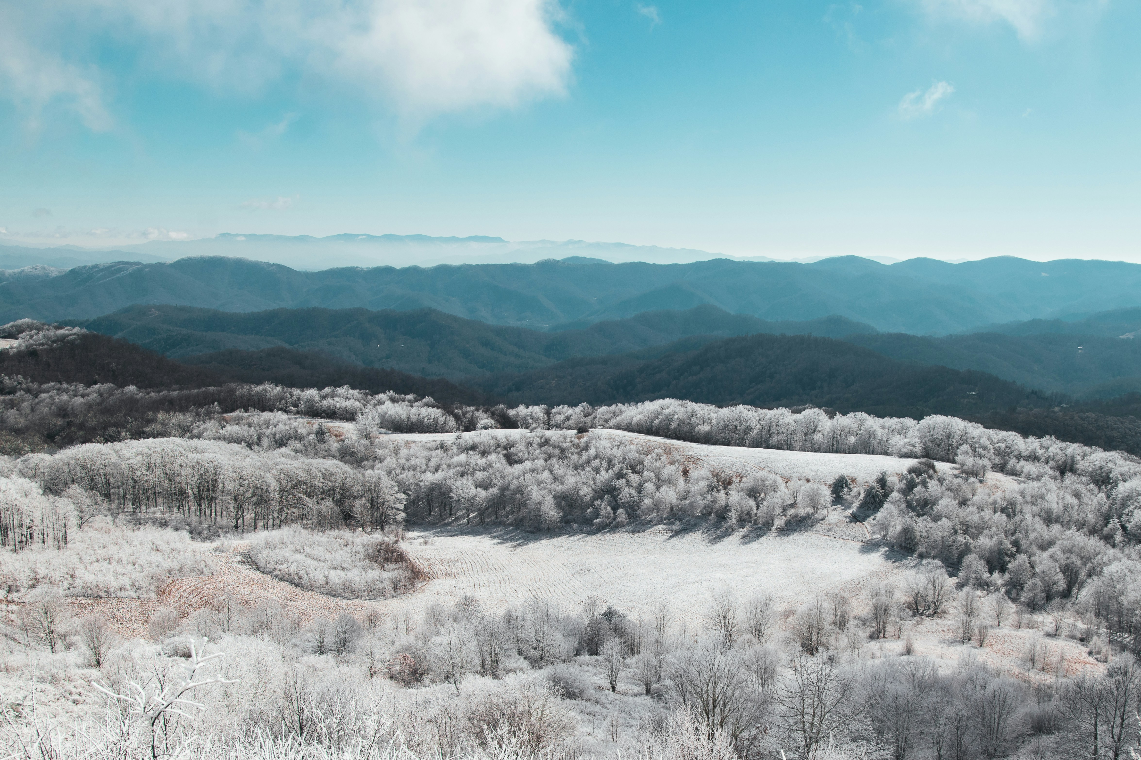 Choose from a curated selection of snow wallpapers for your mobile and desktop screens. Always free on Unsplash.