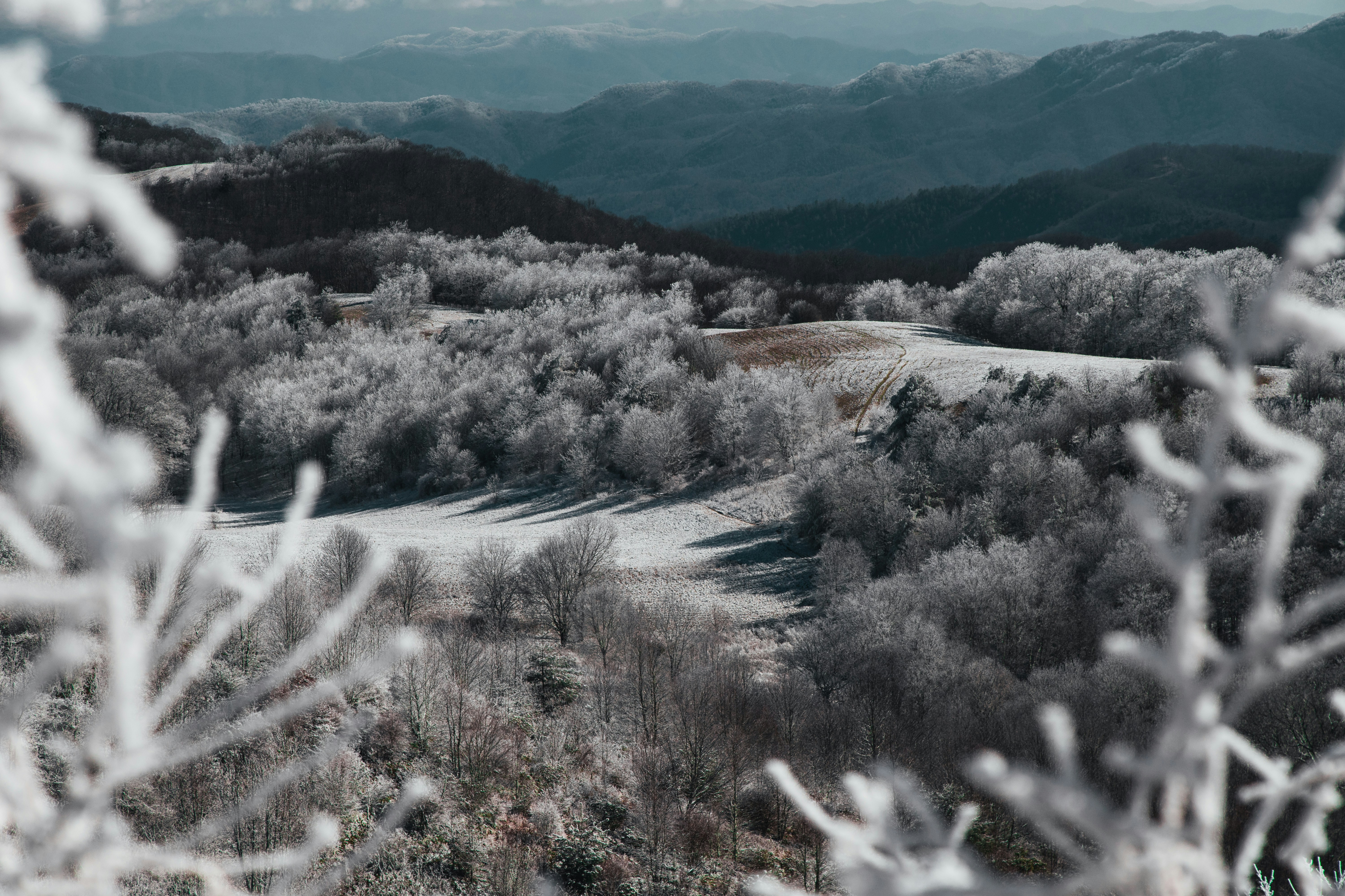 [hikaye] : Hayatımın ilk kampanyası: Bir yıl...