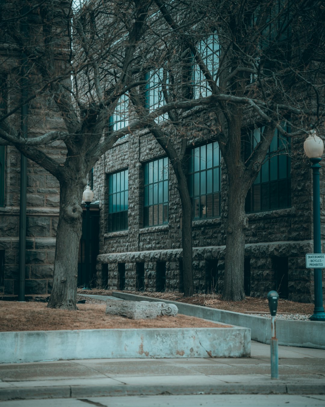 black street light near brown bare trees during daytime