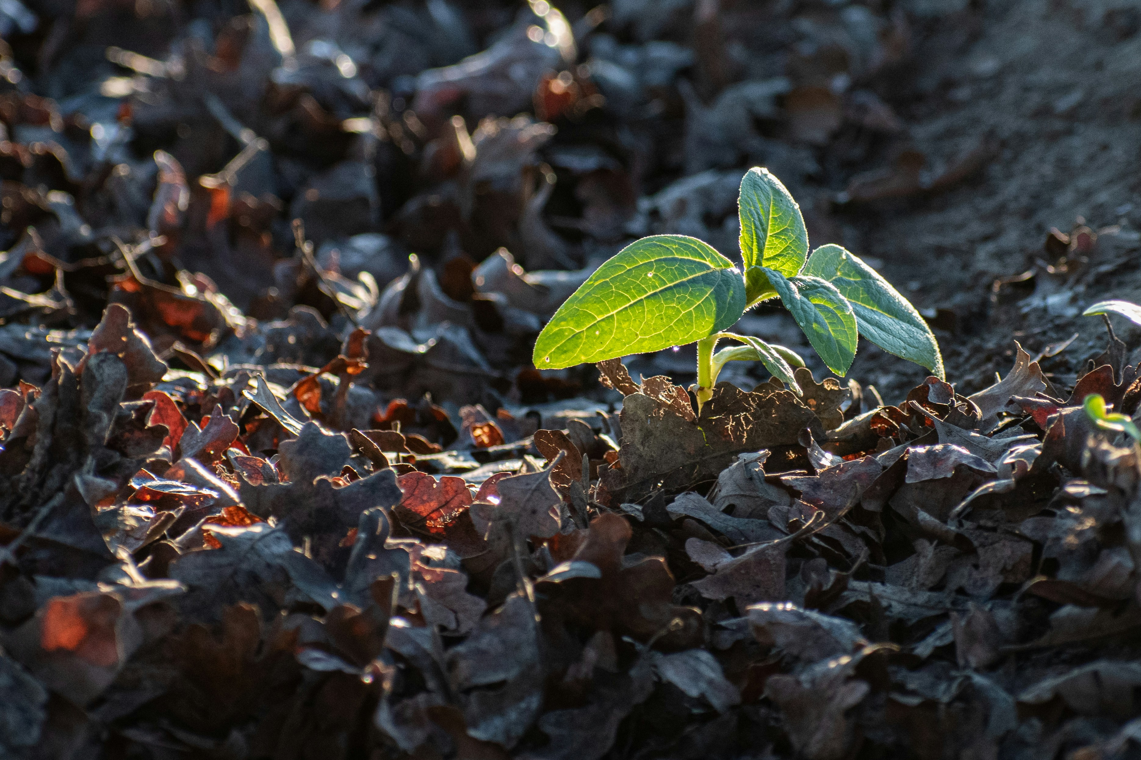 Photo by elisastonephotography