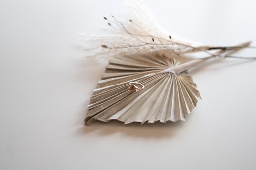 A delicate silver ring with a rose gold gemstone rests atop a textured, fan-shaped dried palm leaf. Wispy, dried botanical branches extend from behind the leaf, creating a soft, natural arrangement. The neutral tones of the background and objects create a minimalist and organic aesthetic.