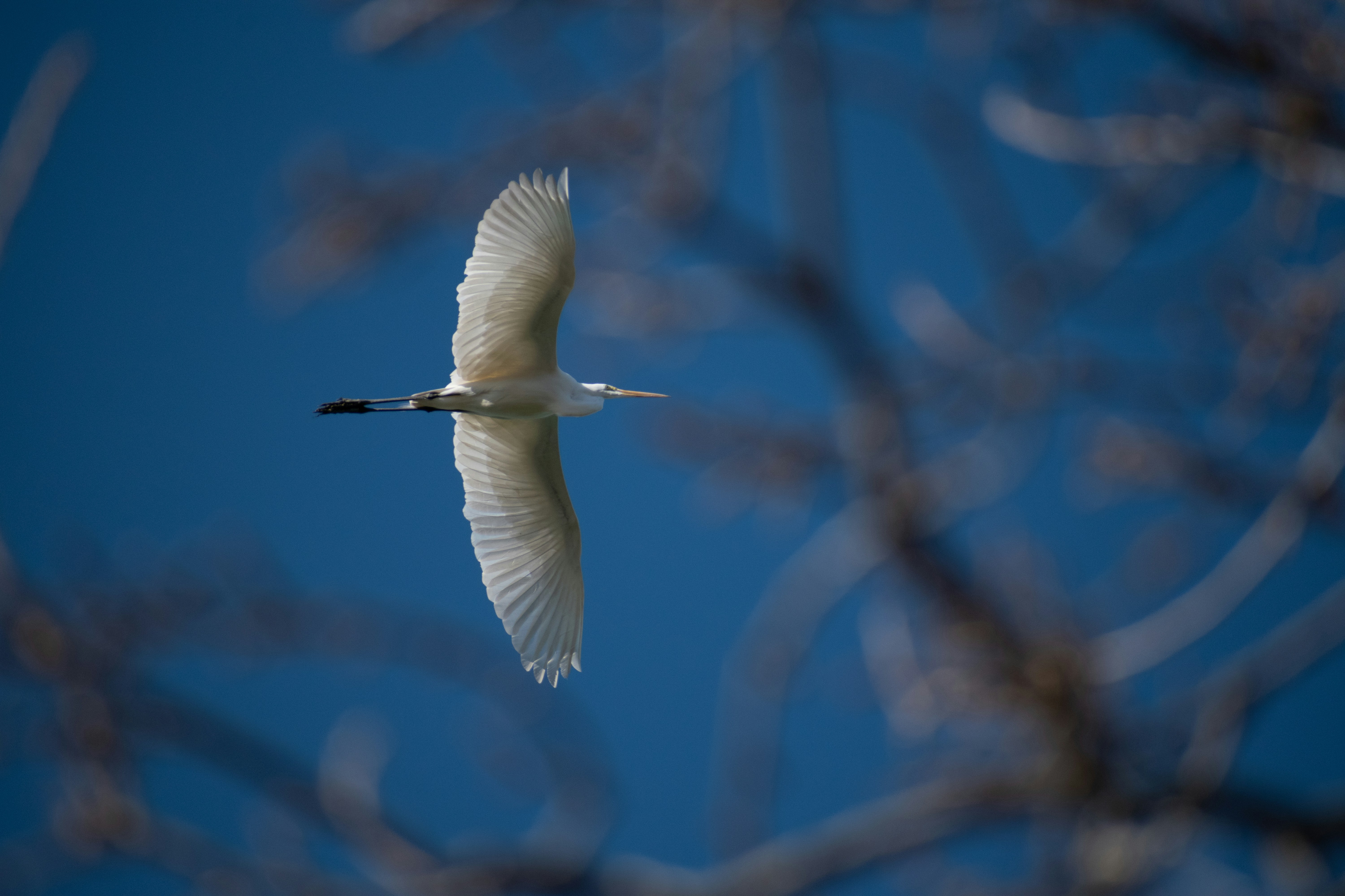 Photo by elisastonephotography