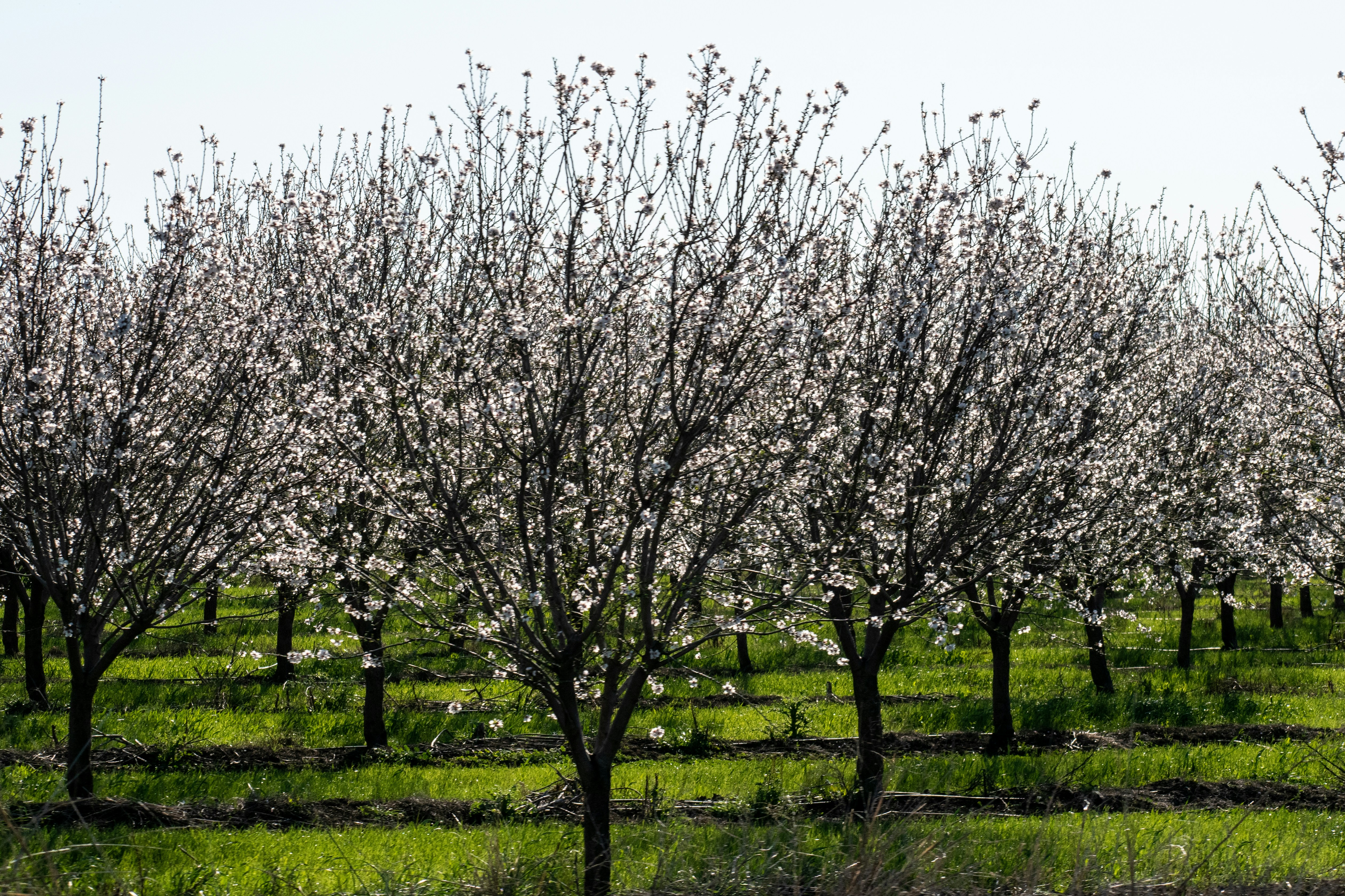 Photo by elisastonephotography