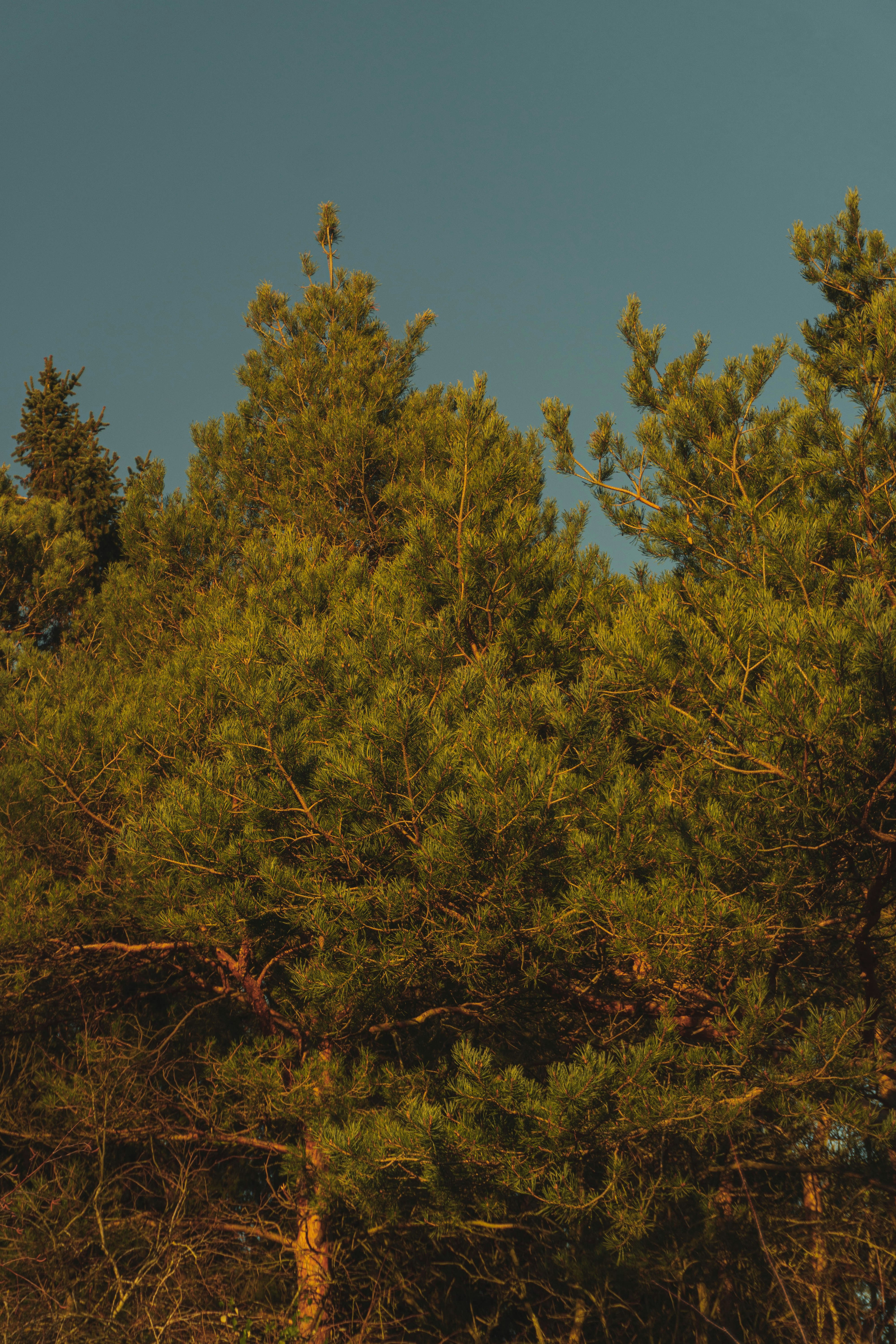 Photo by kylebushnell