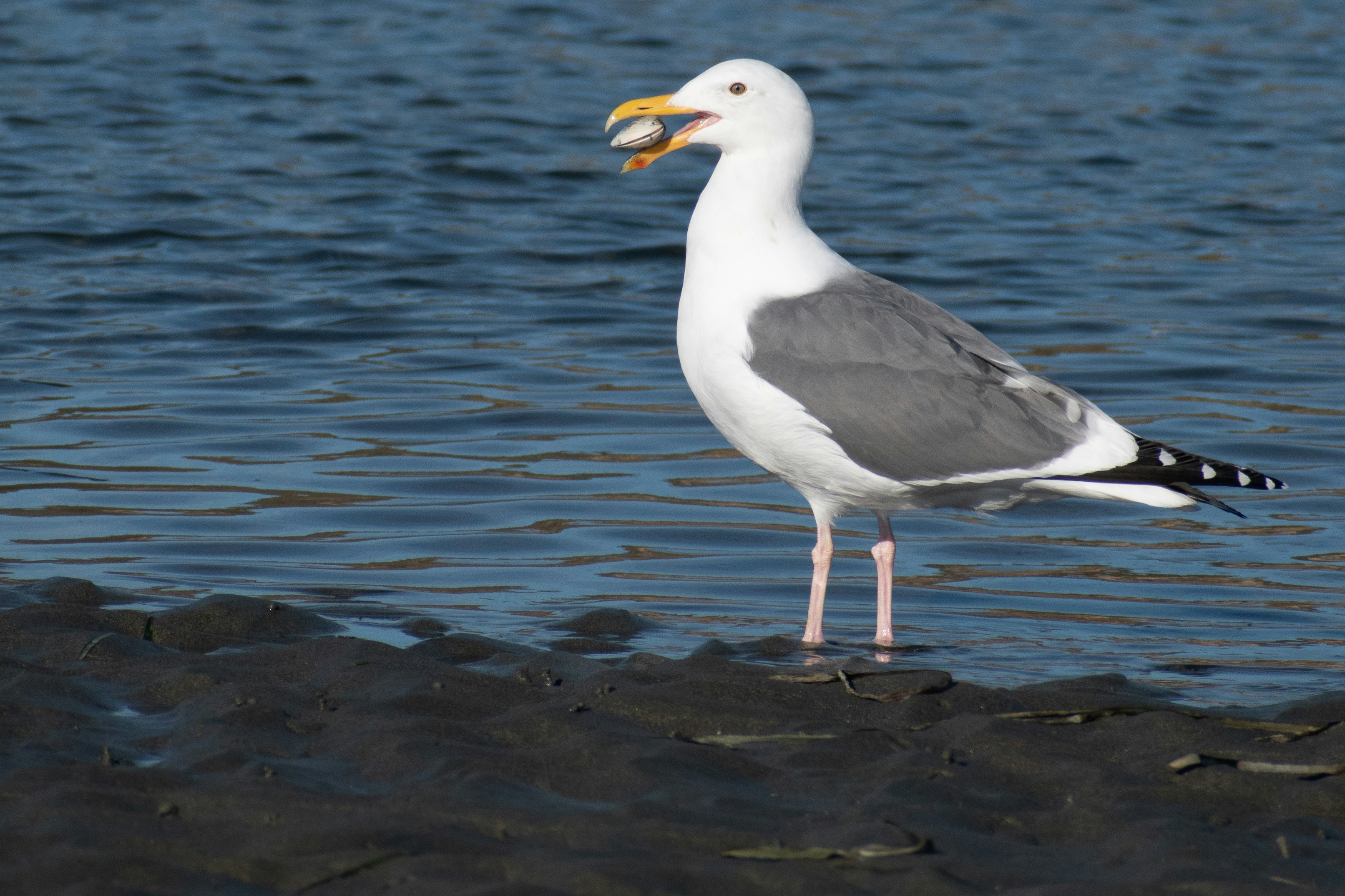 Photo by elisastonephotography