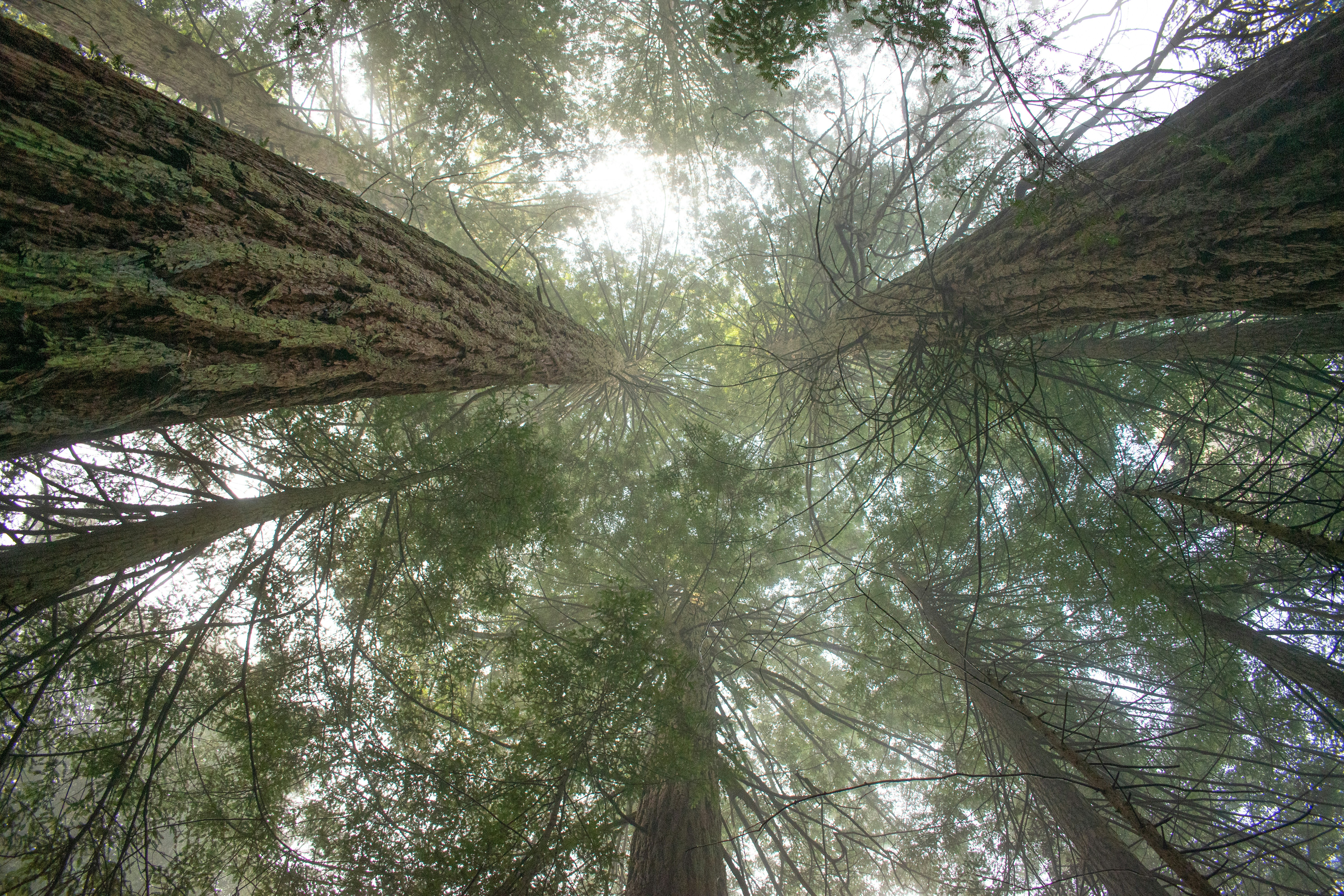 Photo by elisastonephotography