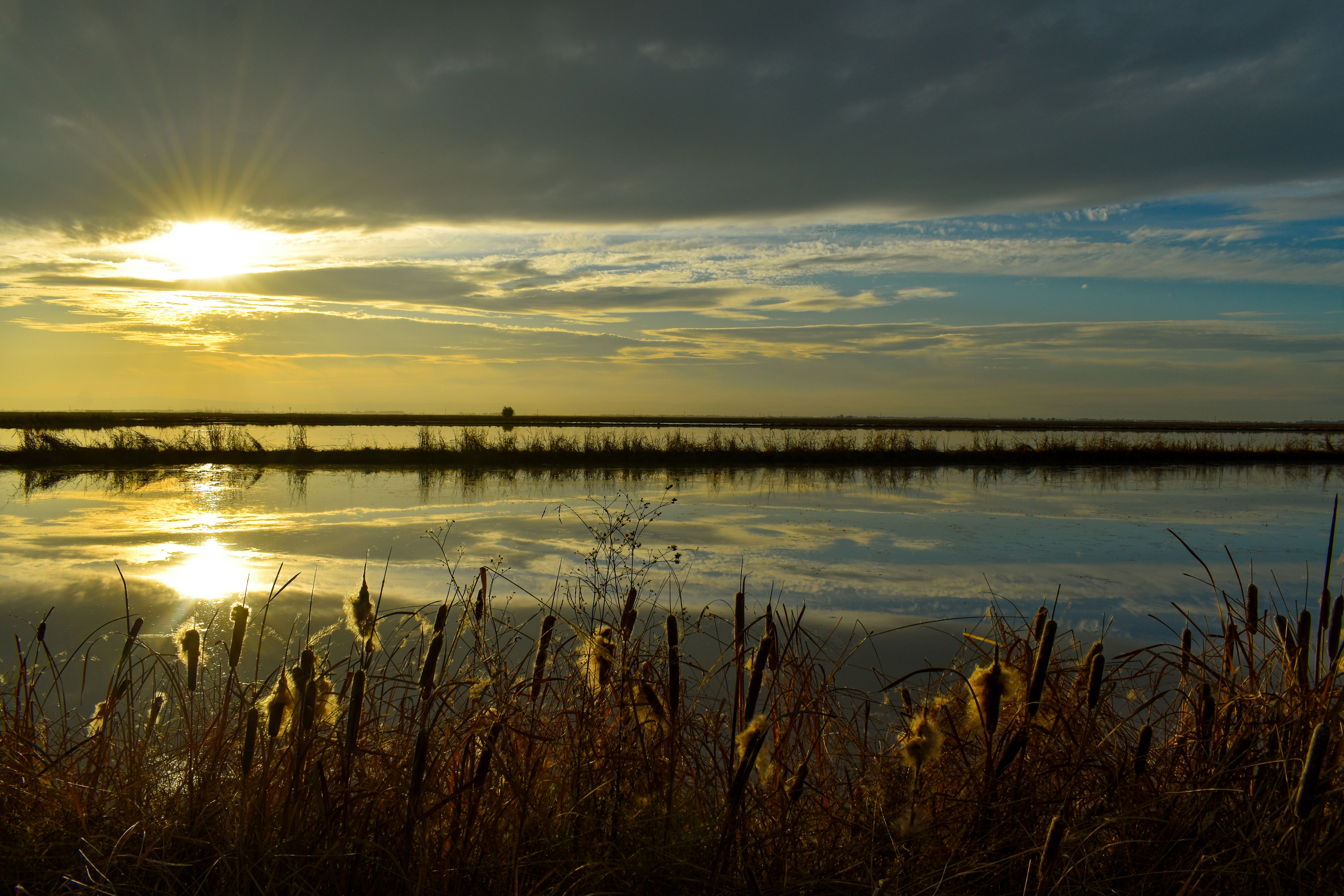 Photo by elisastonephotography