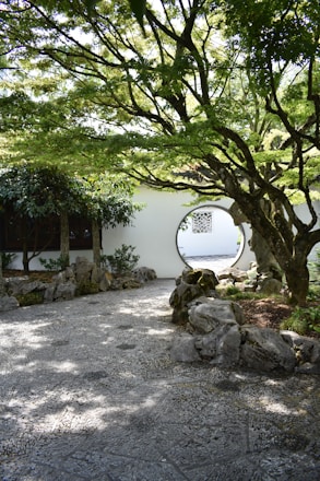 green tree near white concrete house during daytime