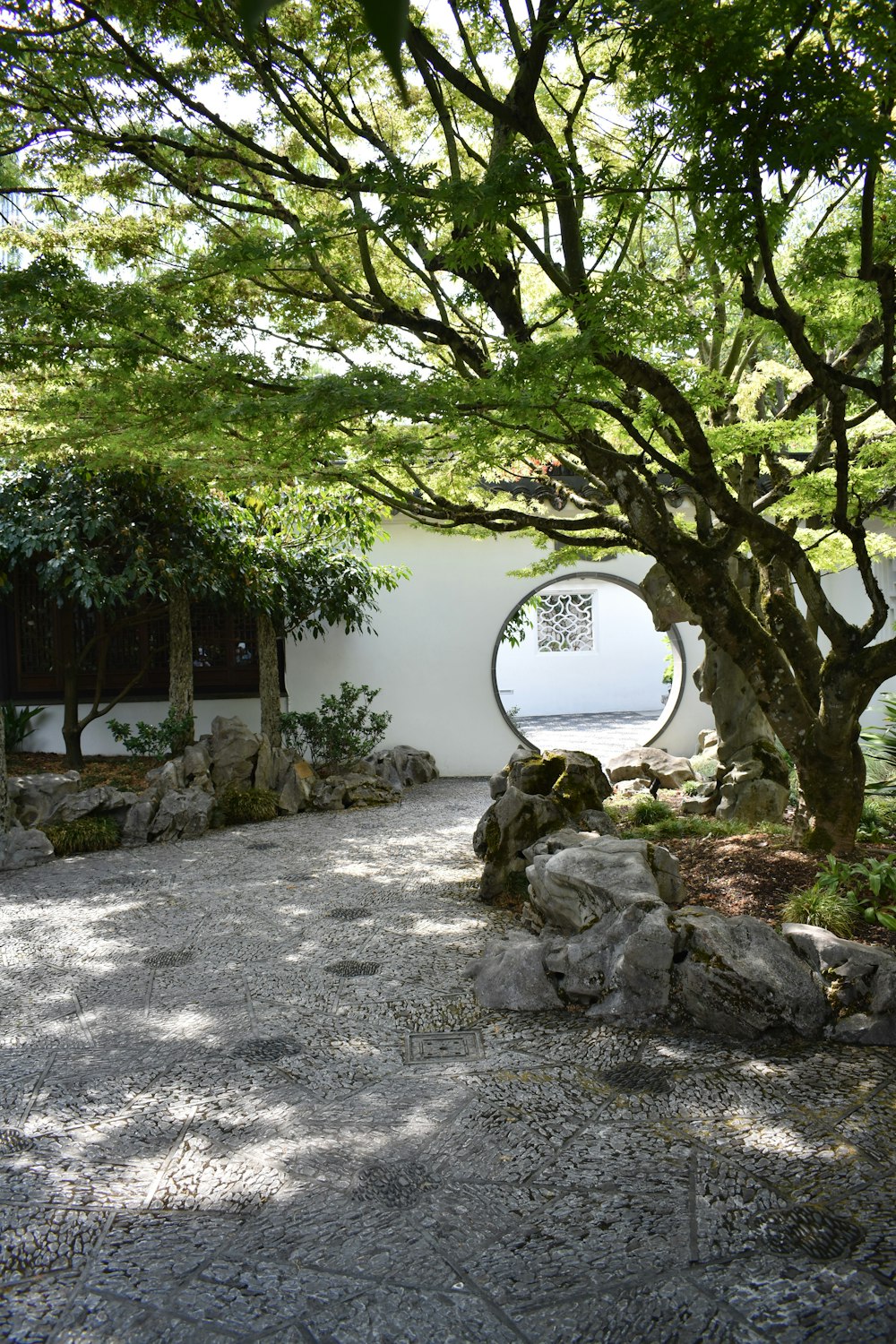 árvore verde perto da casa de concreto branco durante o dia