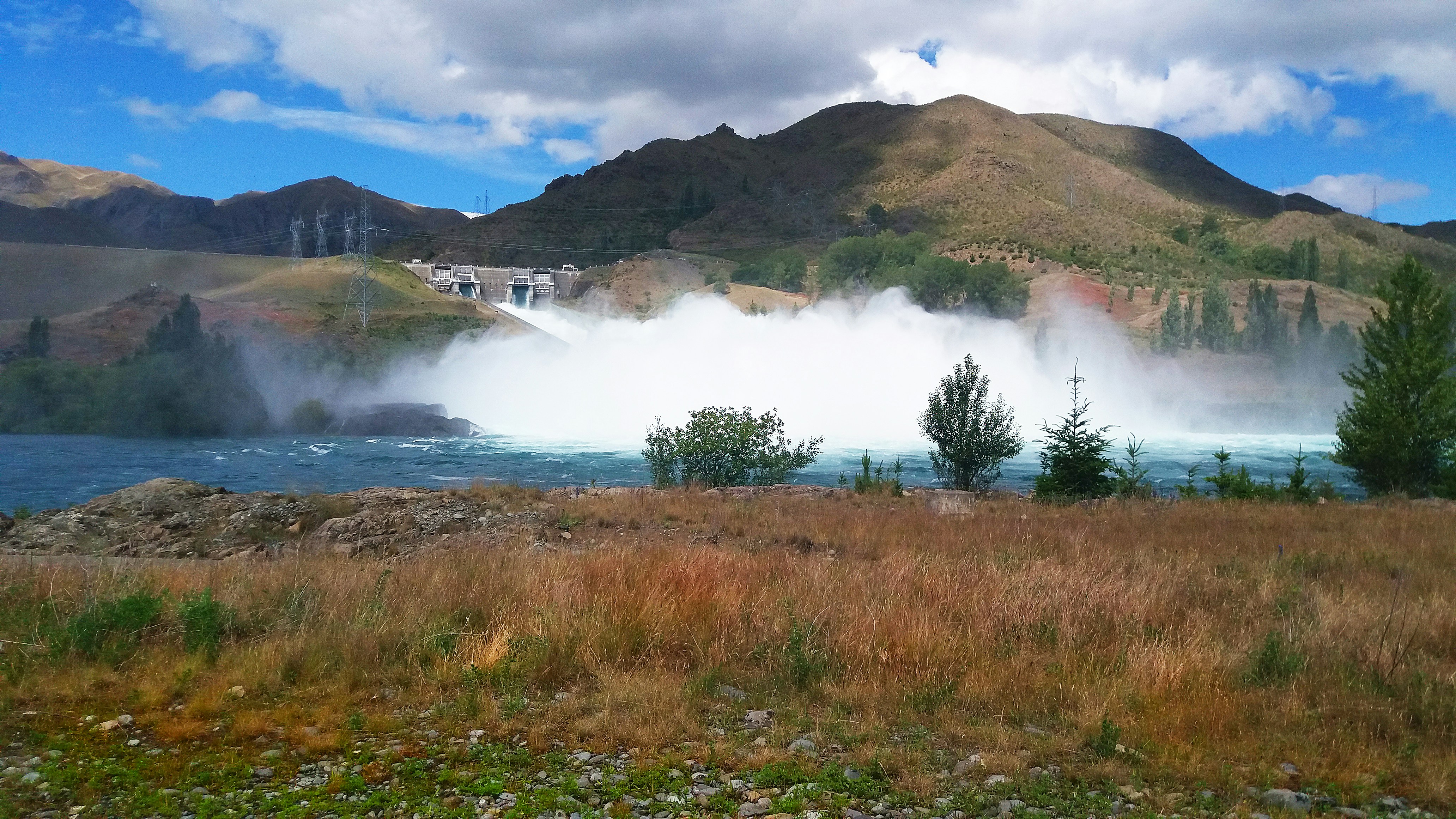 green grass field near body of water during daytime