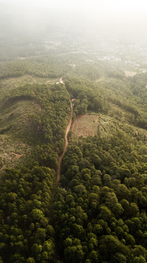 Honduras: Exploring Culture, Customs & Festivals