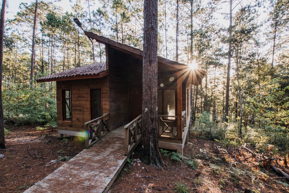 casa di legno marrone vicino agli alberi durante il giorno