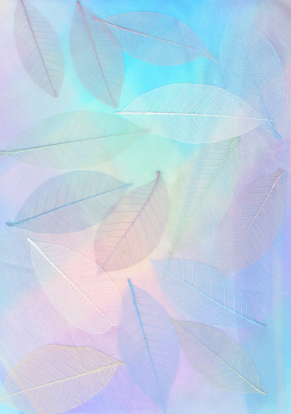 Pastel Aesthetic Wallpaper And Blue Pink Leaves Background