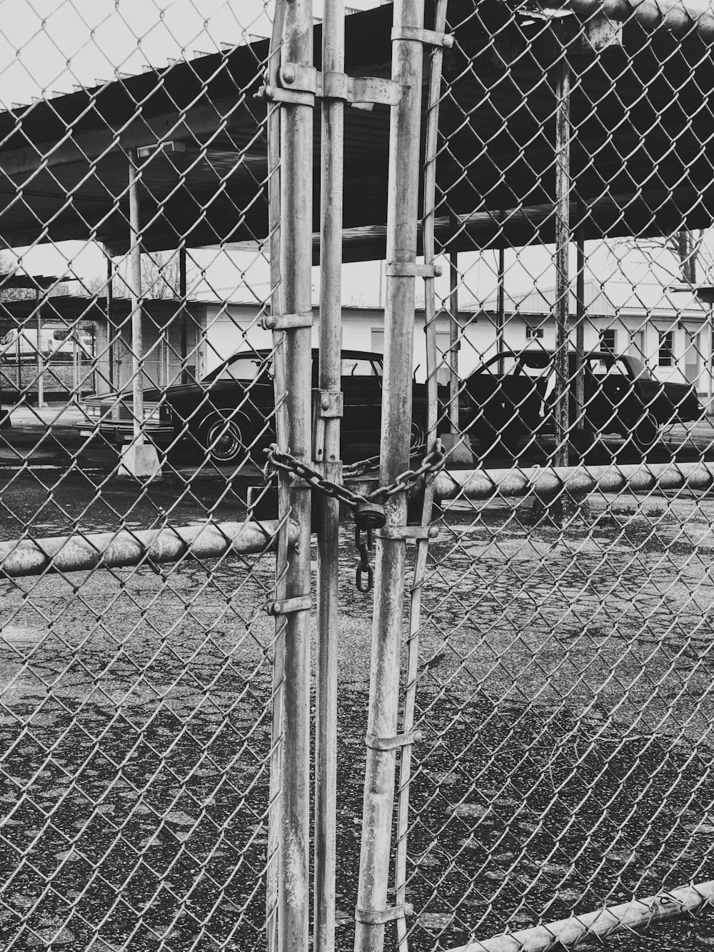 grayscale photo of metal fence