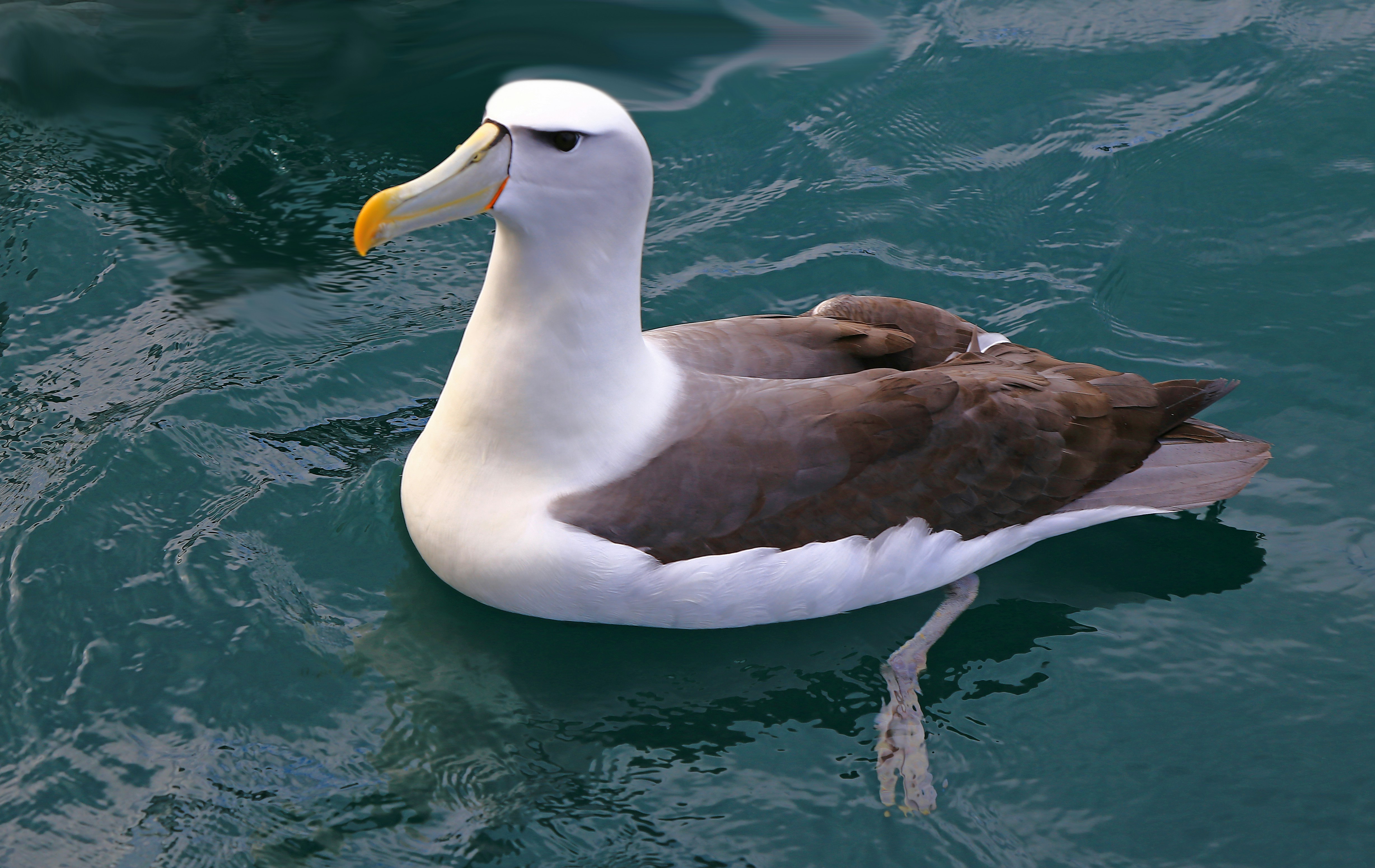 Photo by splashabout