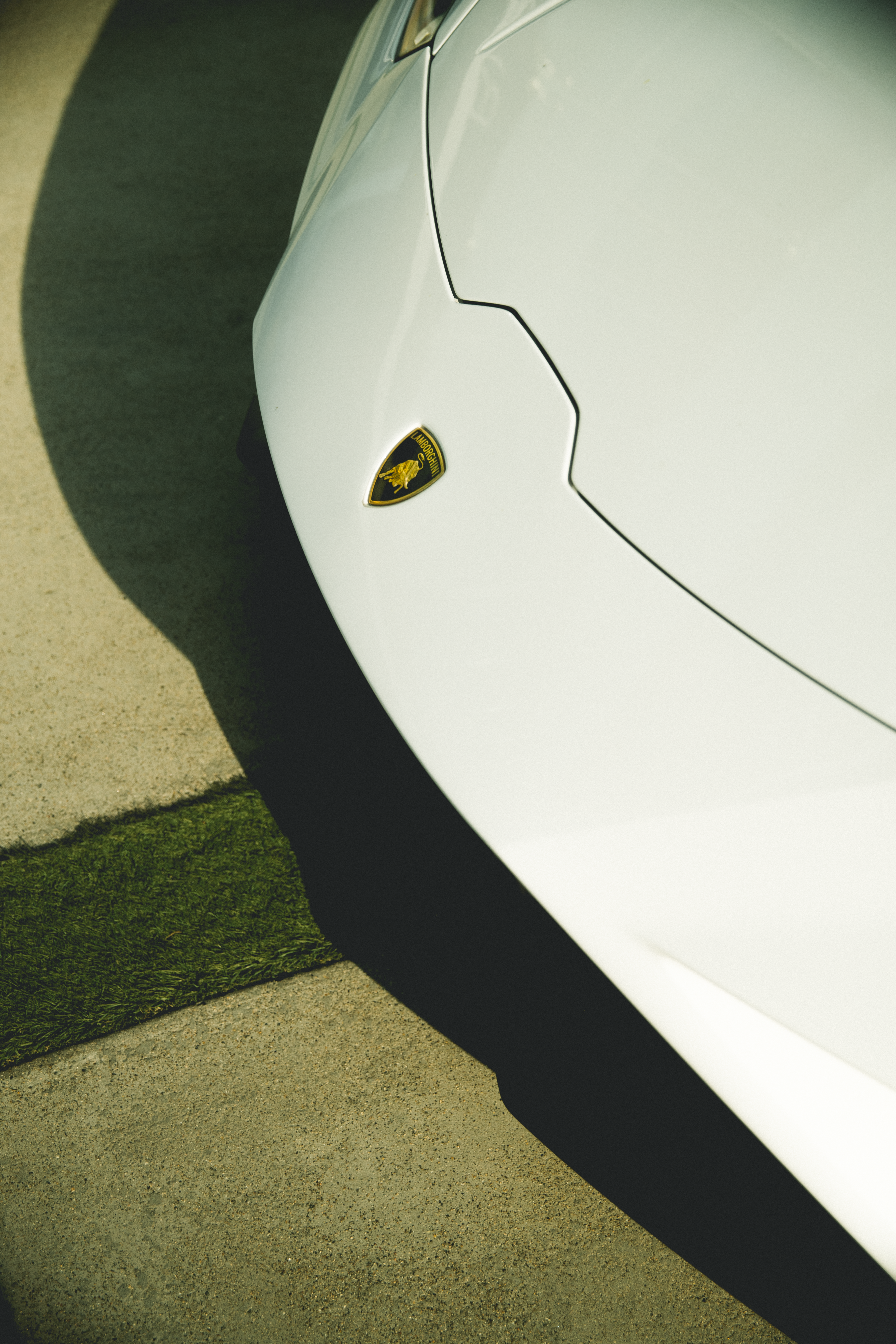 Photo by jackdelulio