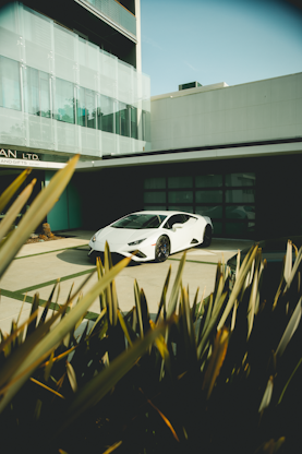 white Ferrari parked near green plant