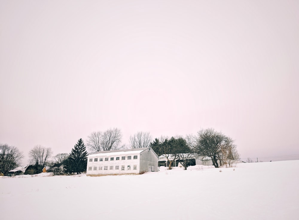 Casa de madera blanca en suelo nevado