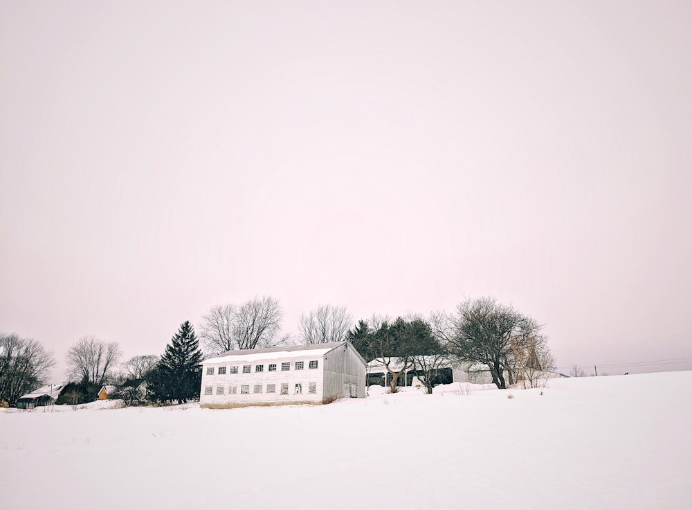 white wooden house on snow covered ground