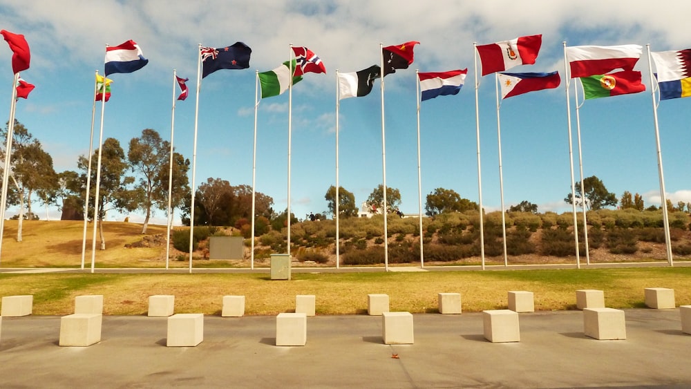 flags on poles on field during daytime