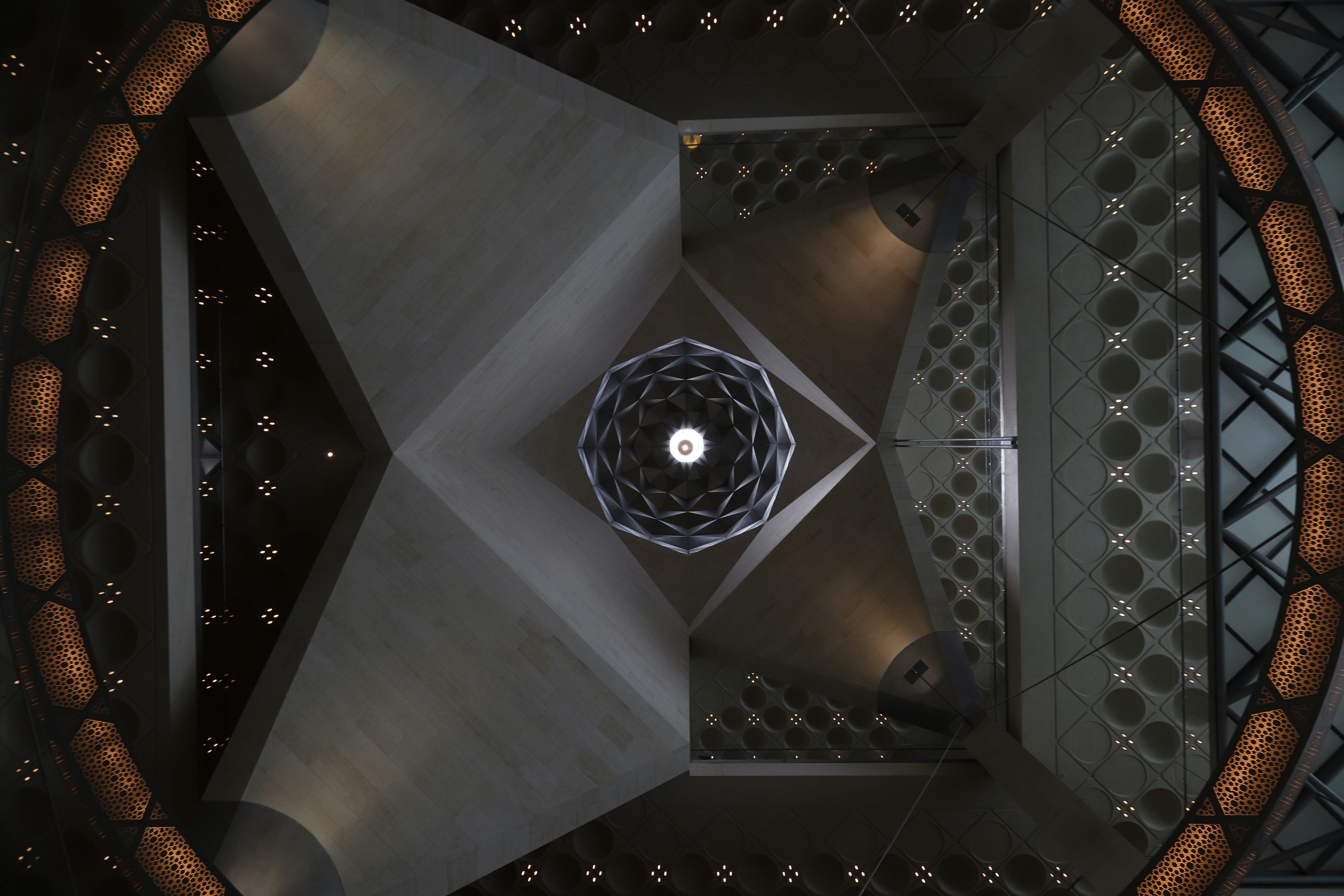 Photo by acuriousape