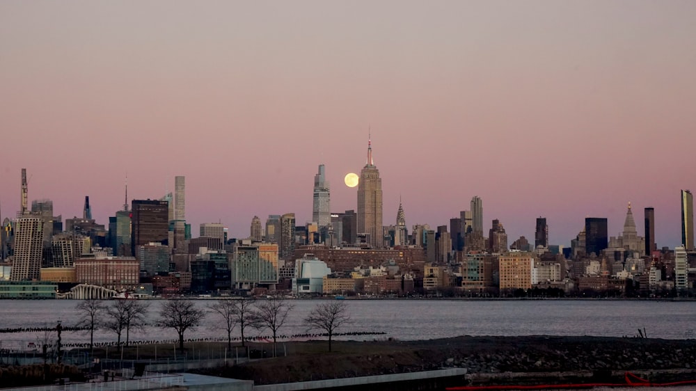 city skyline during day time