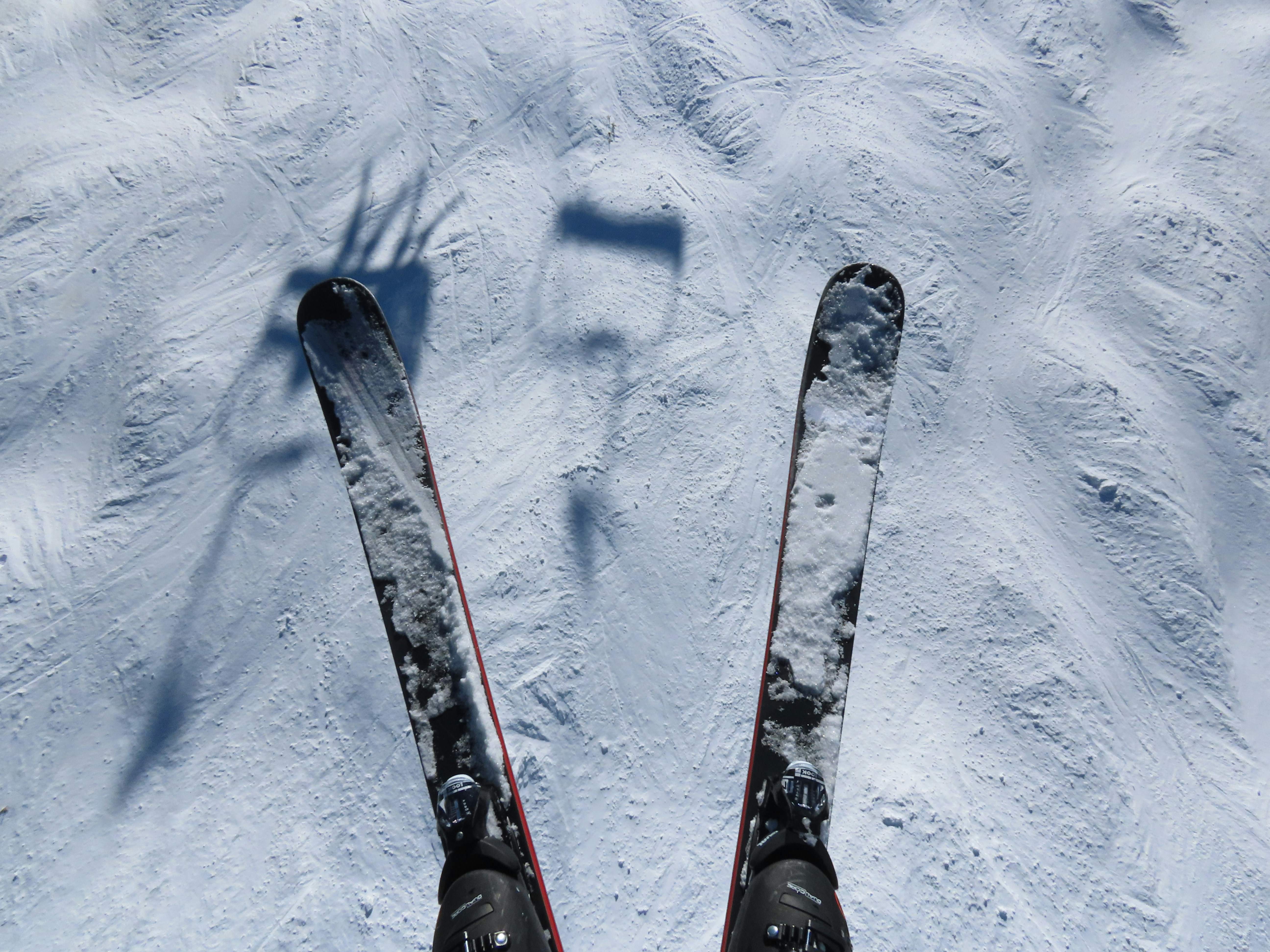 all-mountain skis closeup