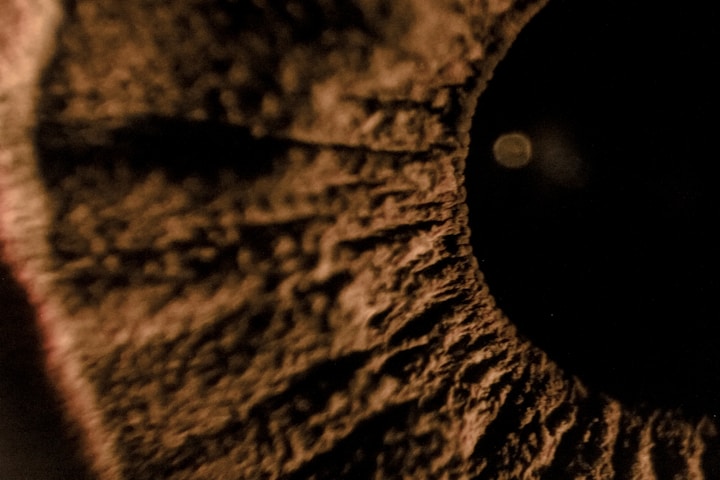 black and brown round textile