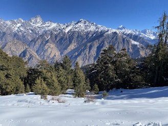 A breathtaking view of the snow-covered mountains in the Pacific Northwest.