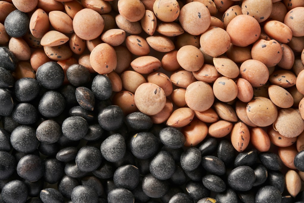 Assorted Lentils Pack