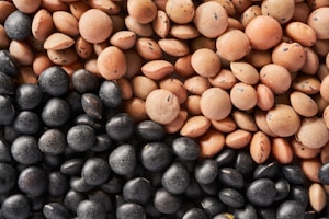 Assorted Lentils Pack
