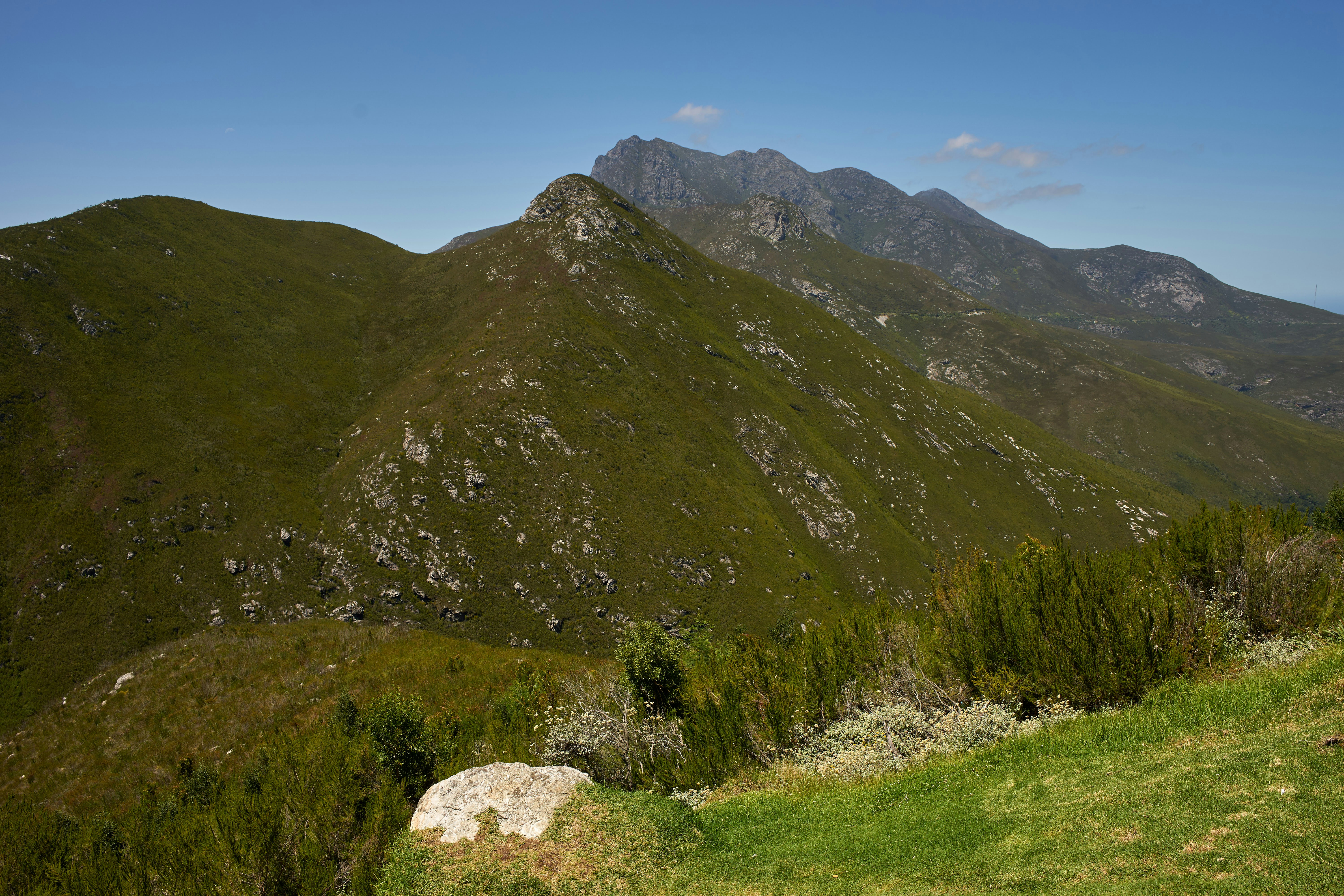 Photo by wolfgang_hasselmann