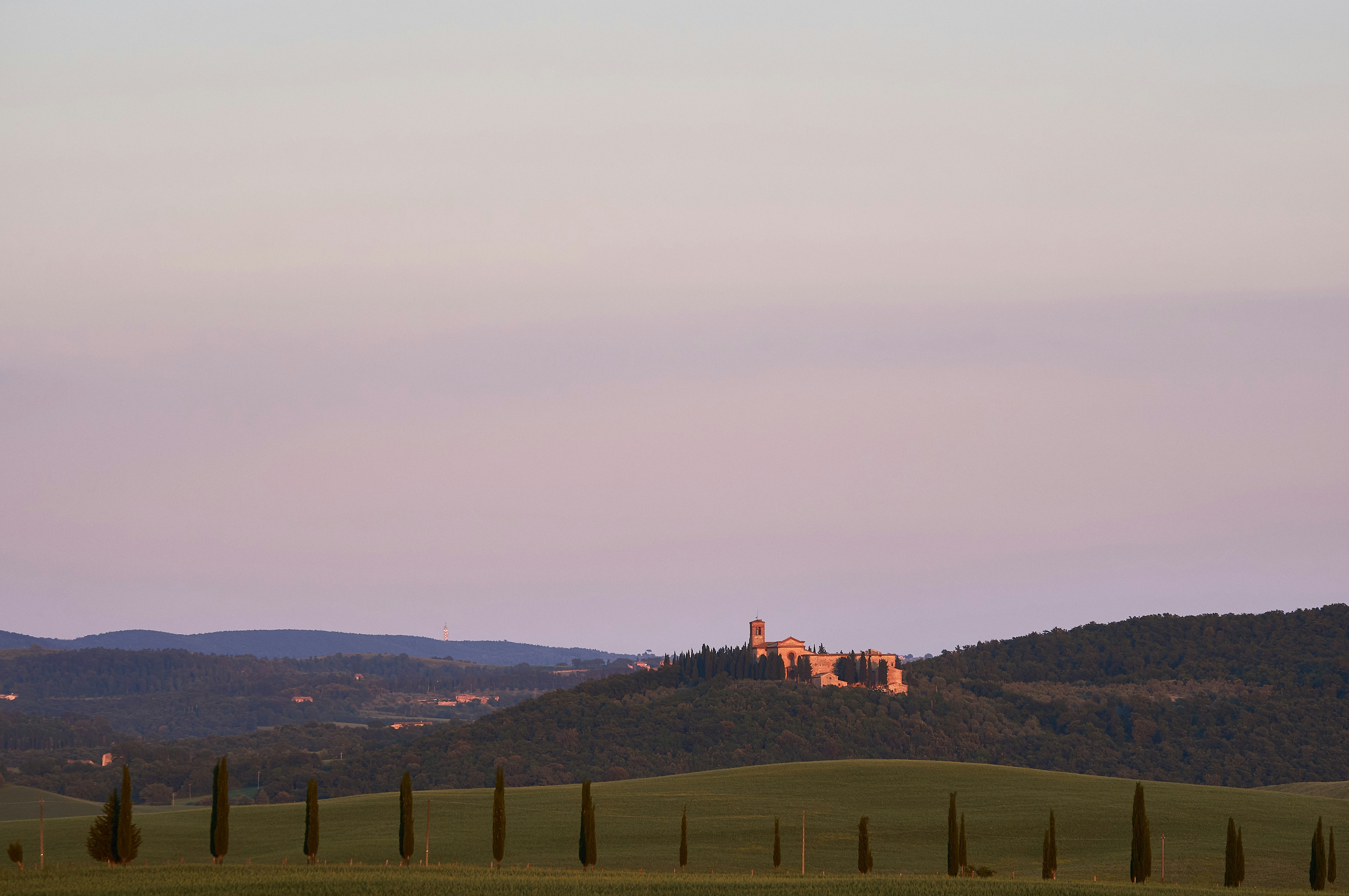 Photo by wolfgang_hasselmann