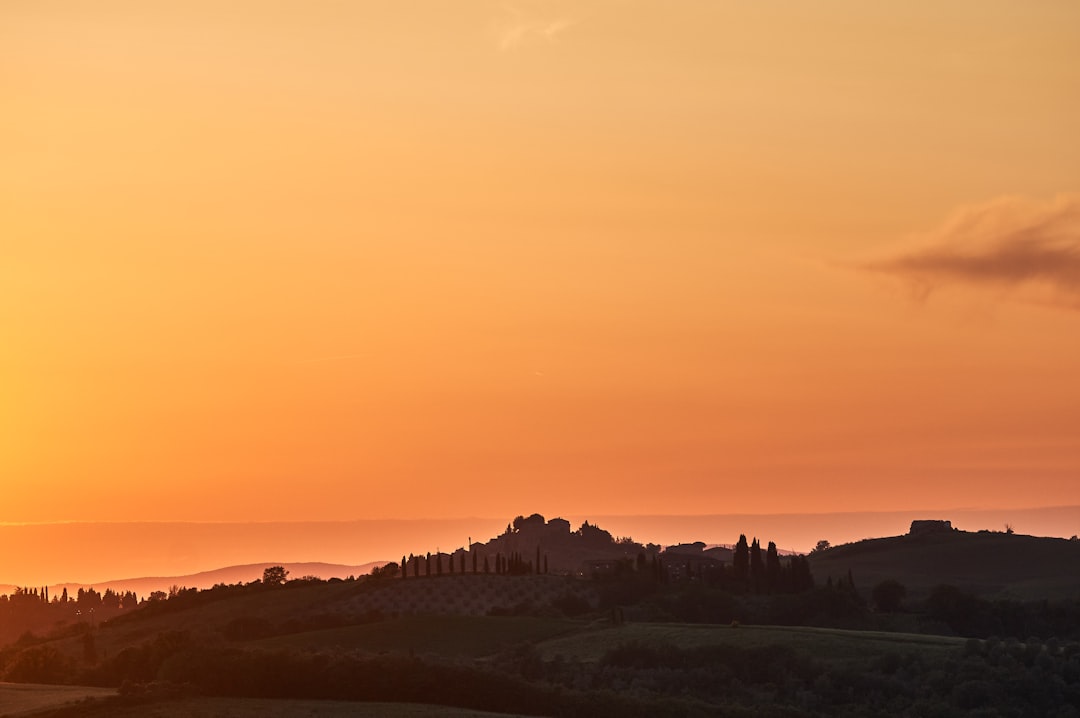 silhouette of buildings during sunset