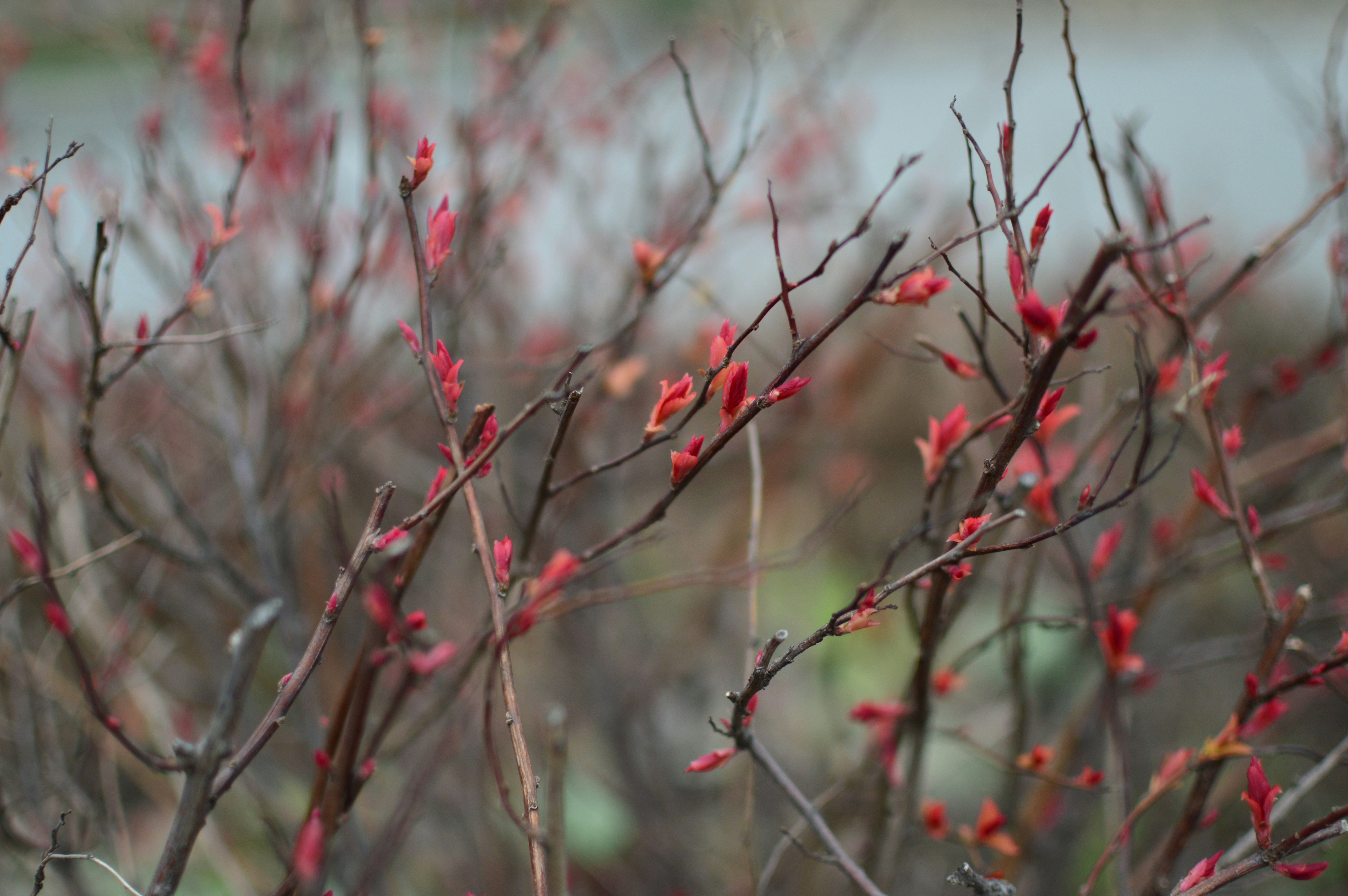 Photo by nadoelodoma