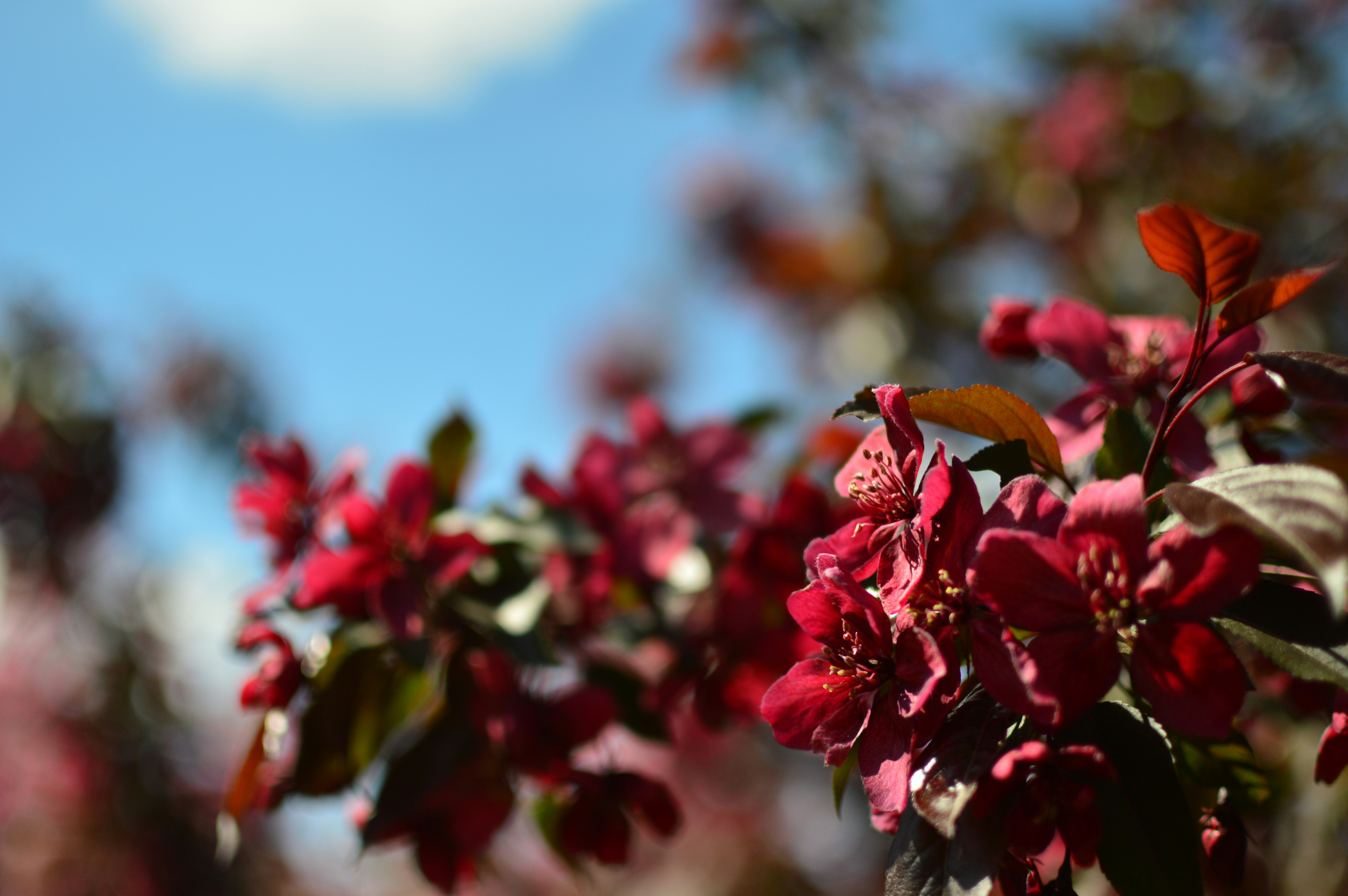 Photo by nadoelodoma