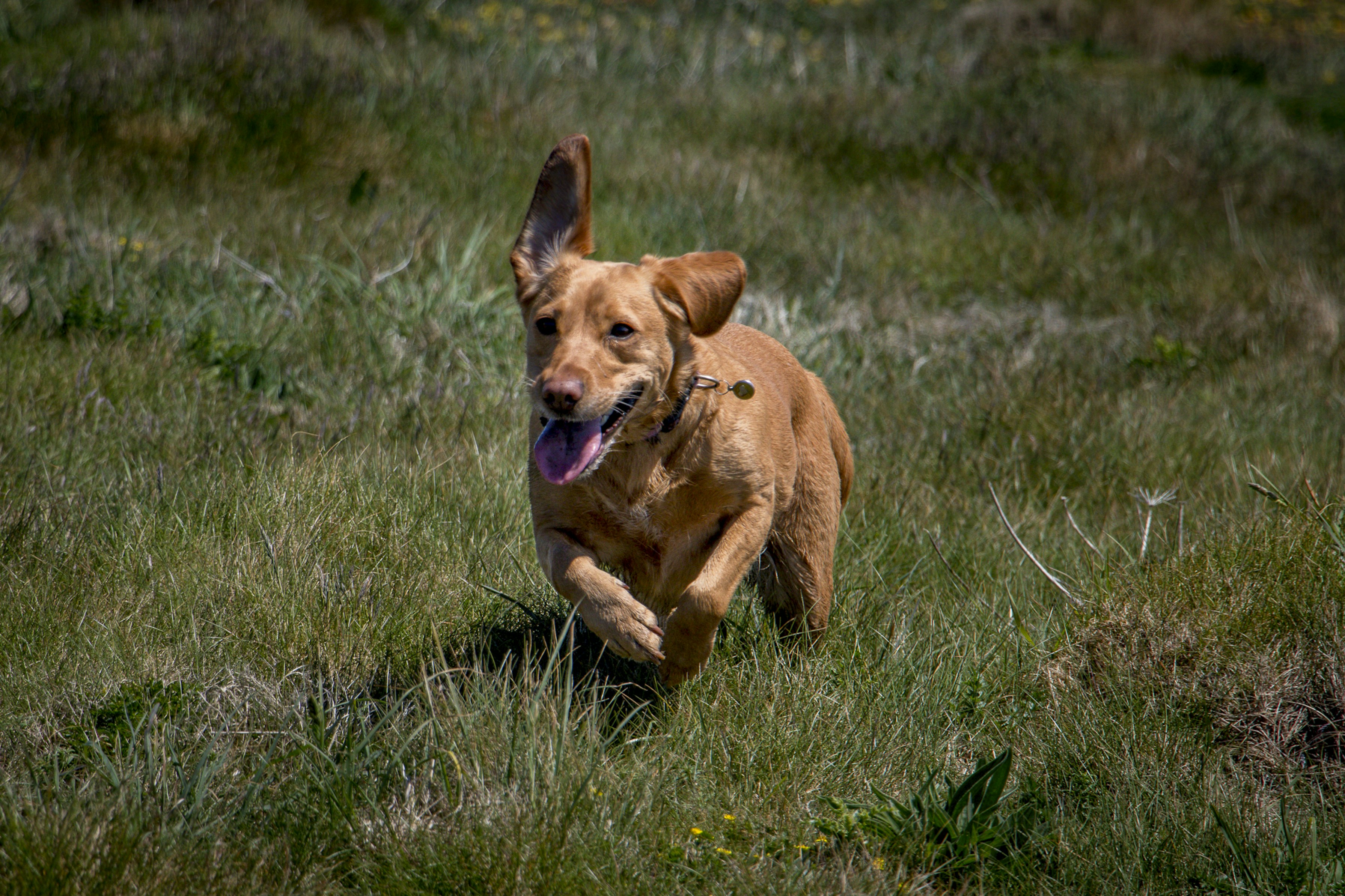 Photo by raymondo600