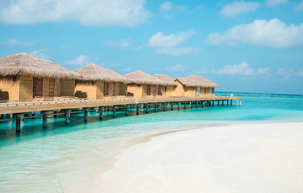 brown wooden houses on beach during daytime