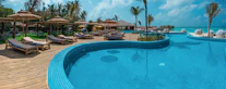 blue swimming pool near green palm trees during daytime