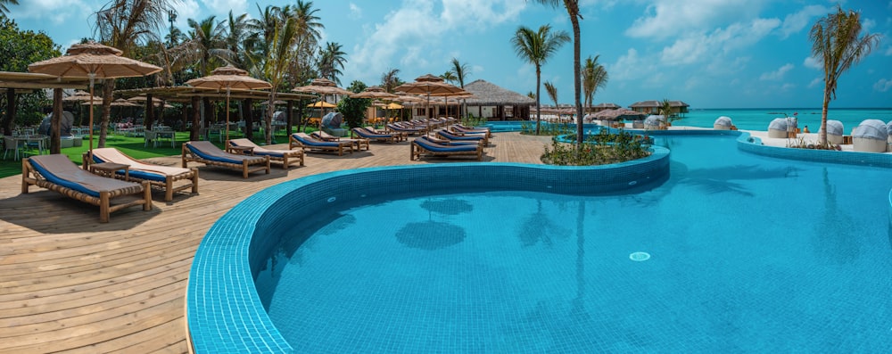 blue swimming pool near green palm trees during daytime