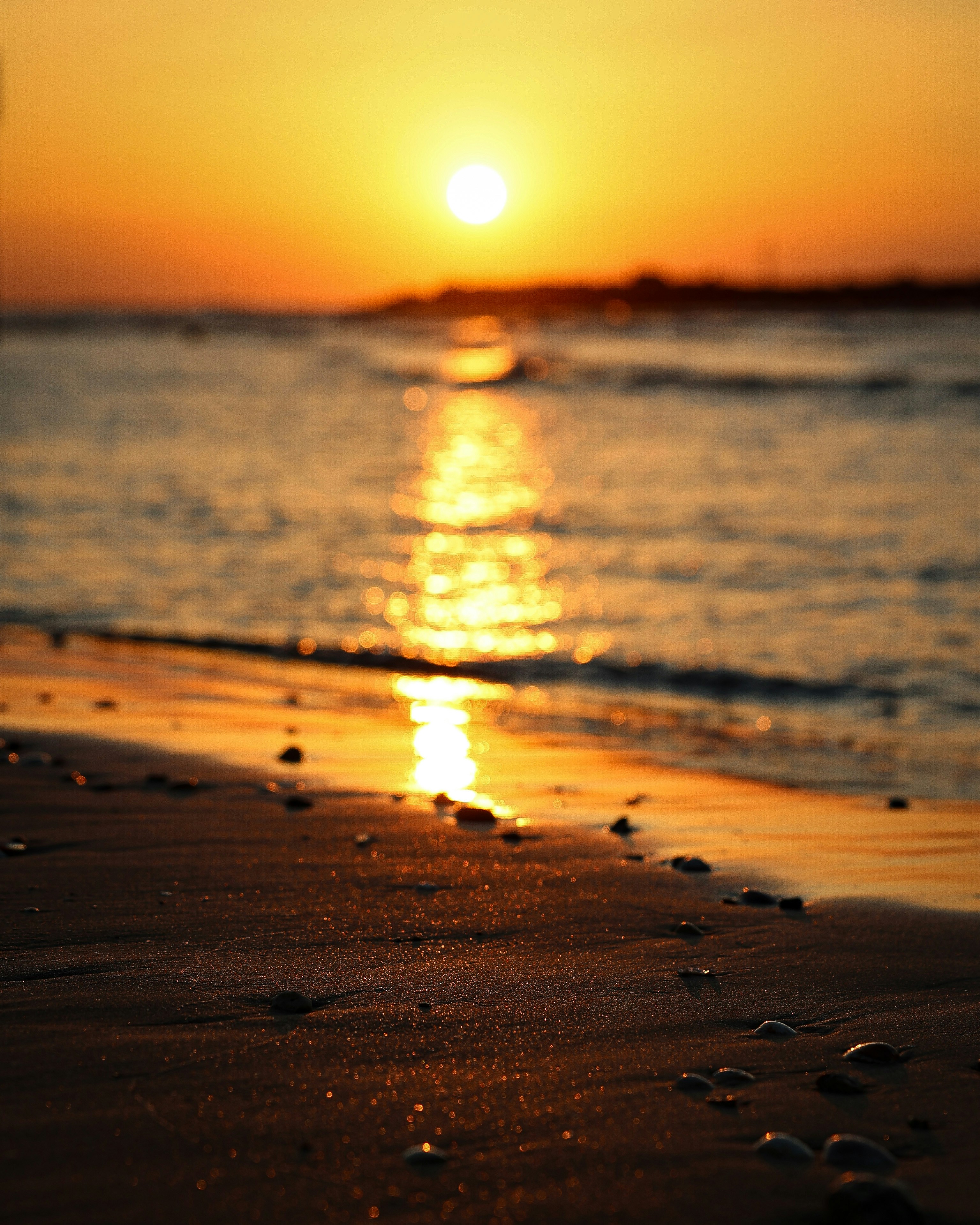 Photo by michael_surazhsky