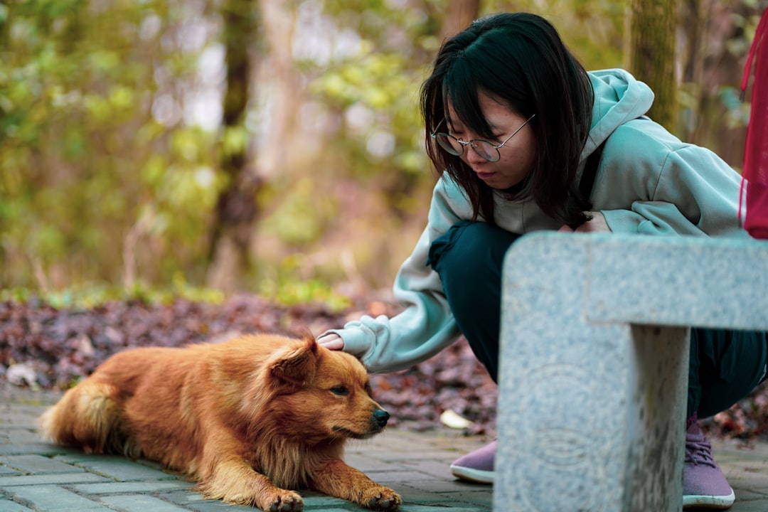 woman in gray jacket hugging brown long coated dog