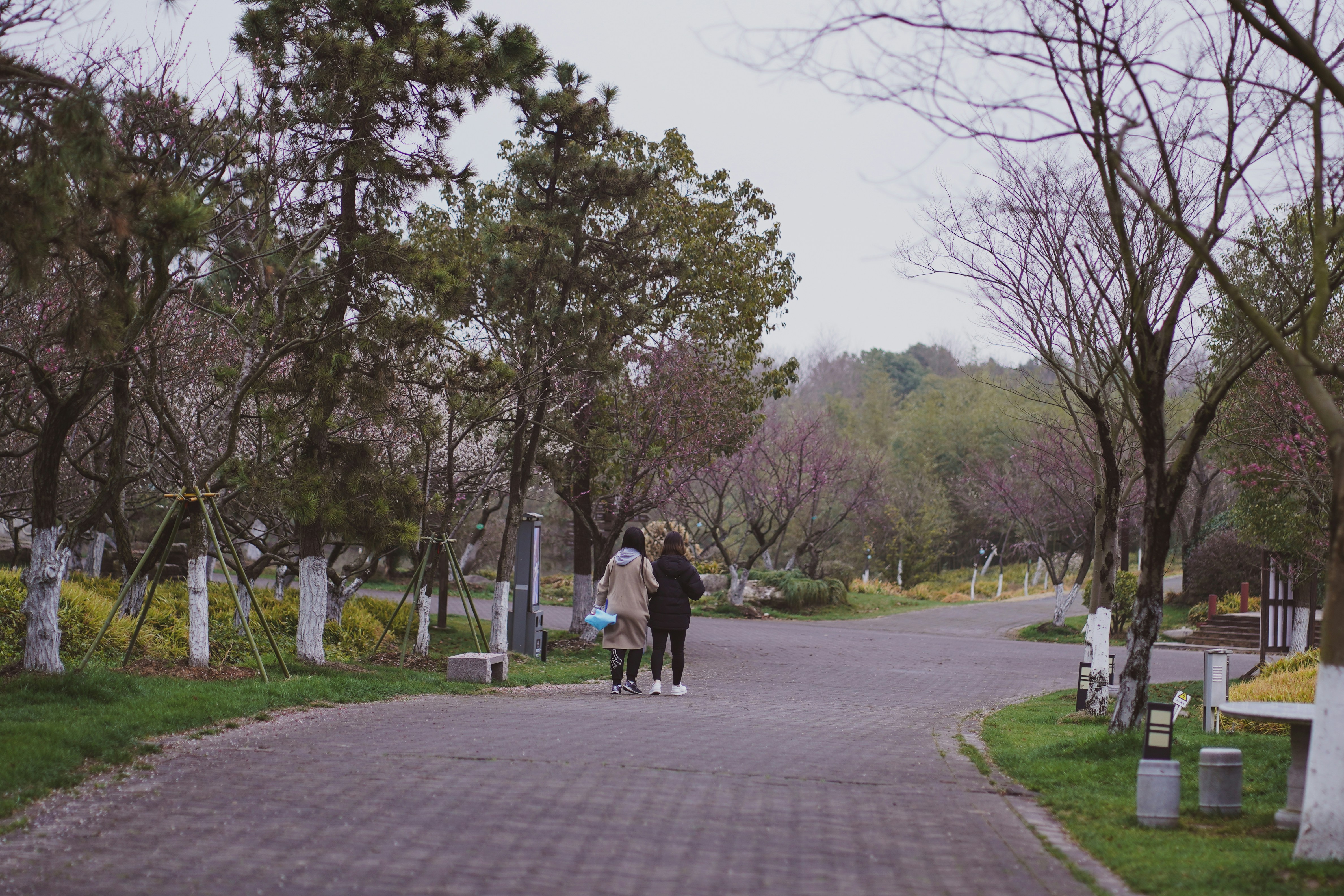 Photo by ginnta